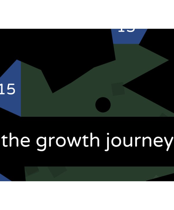 The Growth Journey Steam Key GLOBAL